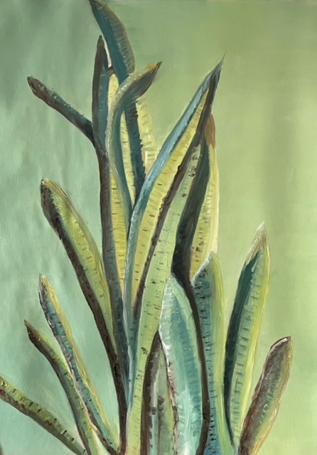 Sentinels of Serenity: The Striking Rise of Sansevieria (65x50cm)